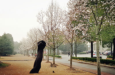 上海視覺藝術(shù)學(xué)院國際本科2+2